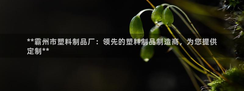 太陽貴賓城：**霸州市塑料制品廠：領(lǐng)先的塑料制品制造商，為您