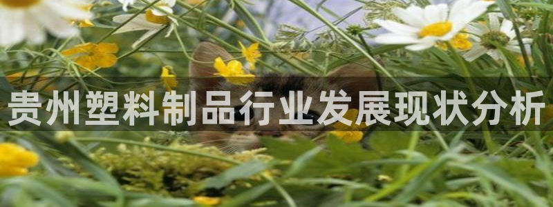 太陽集團城2018網(wǎng)站：貴州塑料制品行業(yè)發(fā)展現(xiàn)狀分析