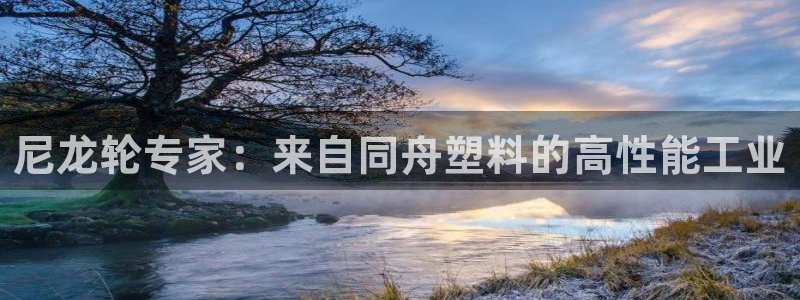 太陽成下載：尼龍輪專家：來自同舟塑料的高性能工業(yè)