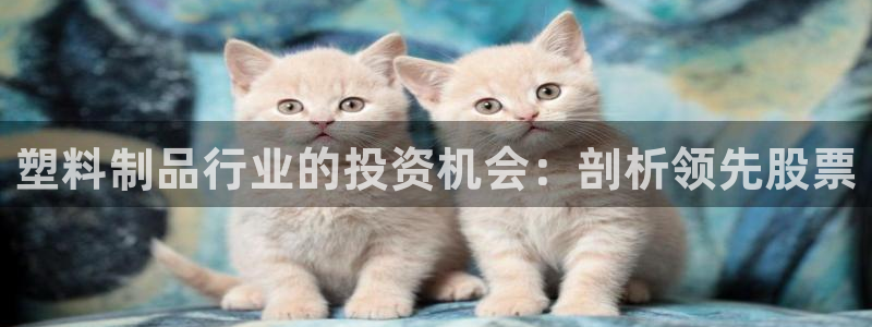 太陽集團游戲官網(wǎng)：塑料制品行業(yè)的投資機會：剖析領(lǐng)先股票