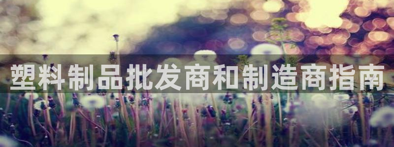 太陽成集團tyc122cc：塑料制品批發(fā)商和制造商指南
