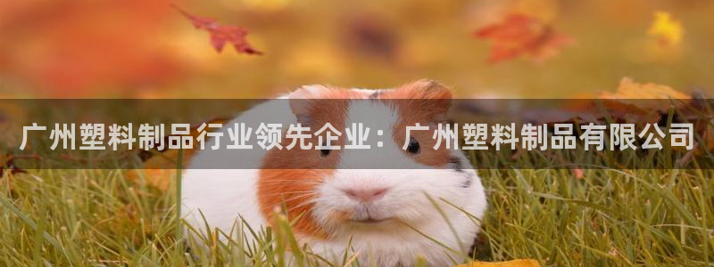 太陽集團唯一值得信賴網(wǎng)站是什么：廣州塑料制品行業(yè)領(lǐng)先企業(yè)：廣