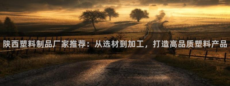 太陽(yáng)成集團(tuán)tyc234cc振興：陜西塑料制品廠家推薦：從選材