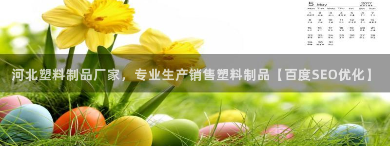 太陽(yáng)陽(yáng)城集團(tuán)有限公司：河北塑料制品廠家，專業(yè)生產(chǎn)銷售塑料制品