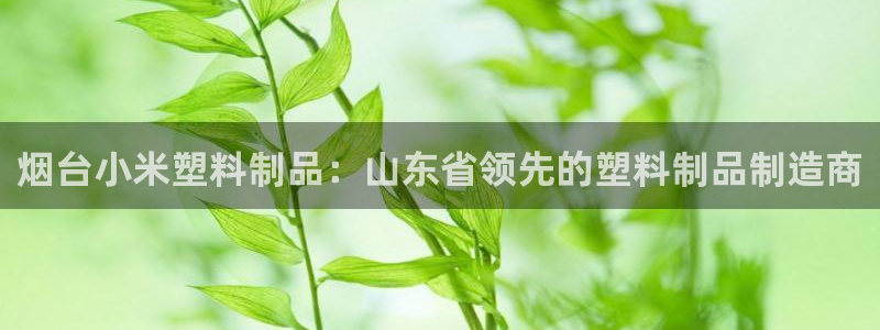 太陽集團(tuán)游戲網(wǎng)址：煙臺(tái)小米塑料制品：山東省領(lǐng)先的塑料制品制造