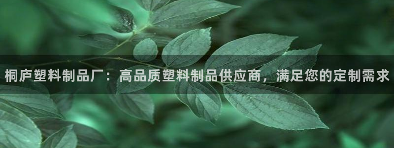 太陽(yáng)成集團(tuán)網(wǎng)站取款：桐廬塑料制品廠：高品質(zhì)塑料制品供應(yīng)商，滿